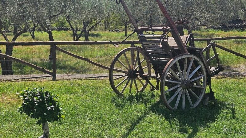 etna-villages-oil-ricotta-tasting-with-lunch