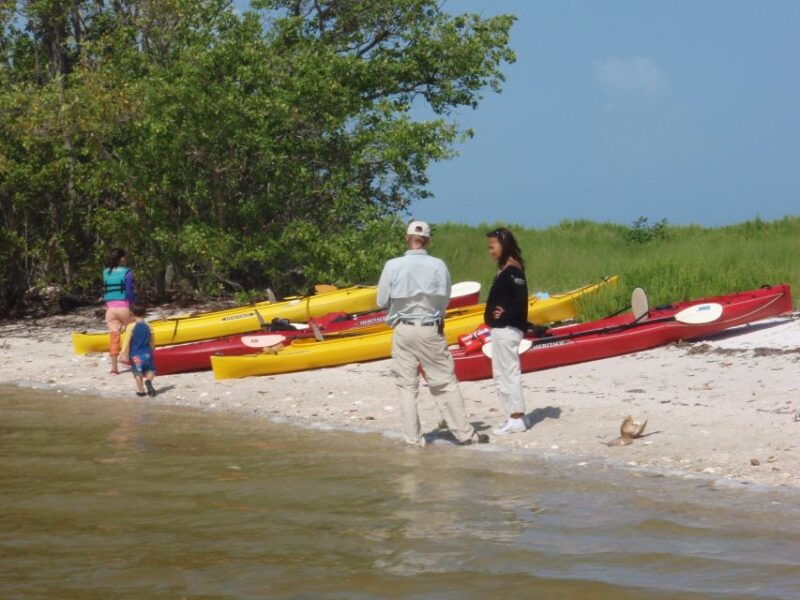 everglades-national-park-boat-assisted-kayak-eco-tour