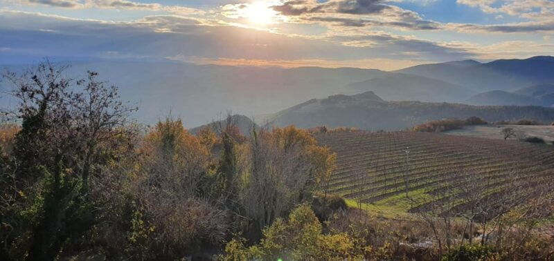 exclusive-assisi-and-sagrantino-di-montefalco-wines