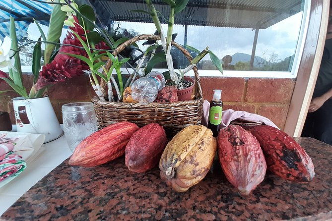 excursion-day-to-cocoa-farm-from-guayaquil