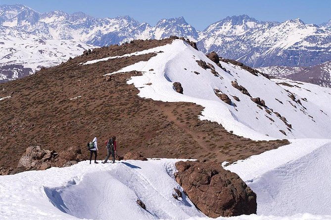 experience-wildlife-encounter-in-provincia-mountain-of-chile