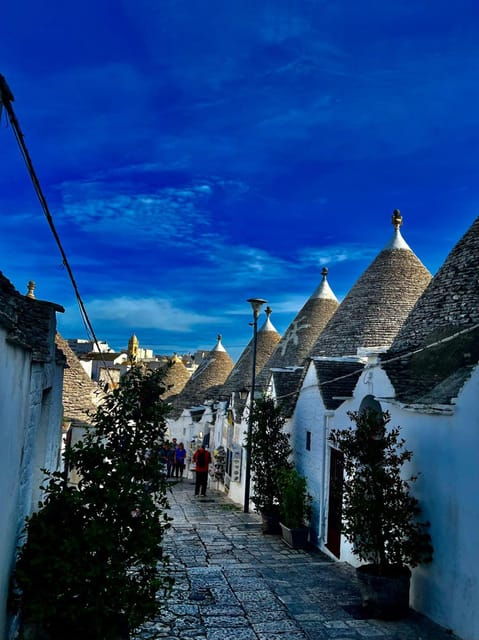 expert-guided-tour-tasting-alberobello