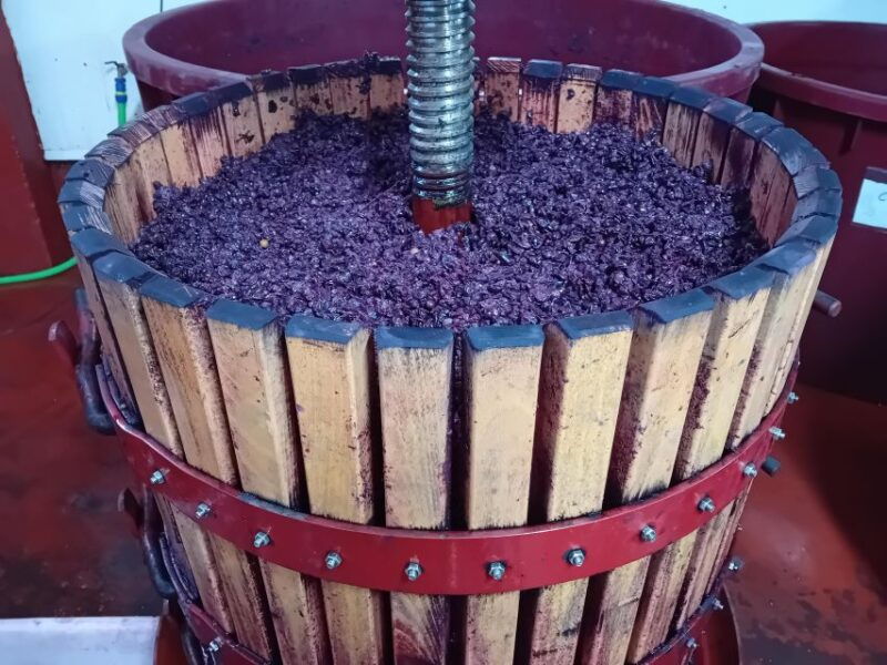 explore-3-ribera-del-duero-wineries-with-madrid-pickup