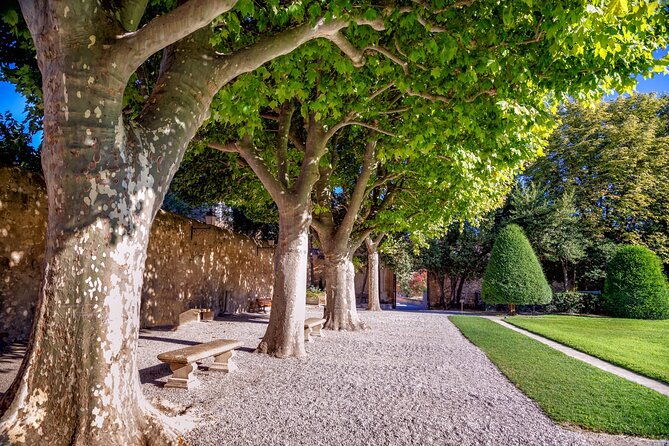 explore-aix-en-provence-in-60-minutes-with-a-local