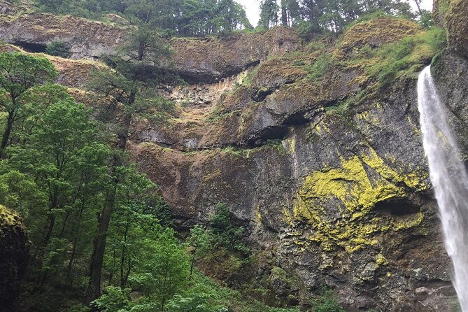 explore-columbia-river-gorge-half-day-small-group-hiking-tour
