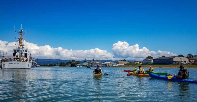 explore-humboldt-bay-by-kayak