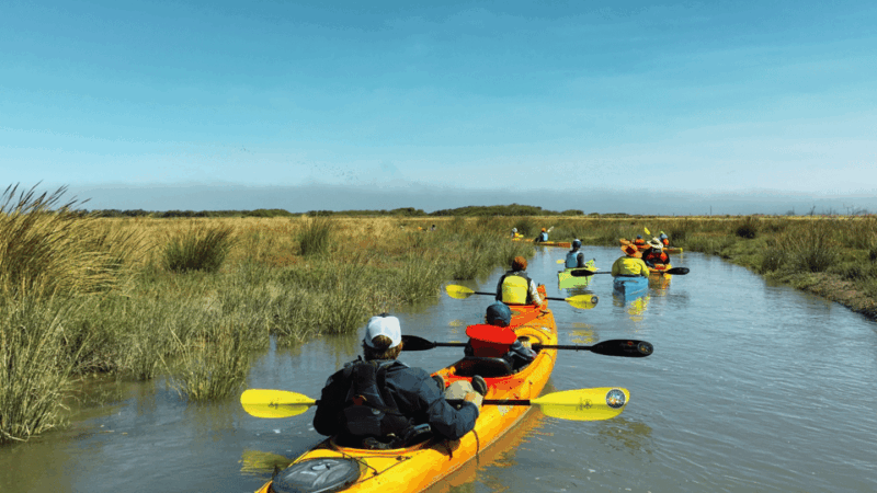 explore-humboldt-bay-by-kayak
