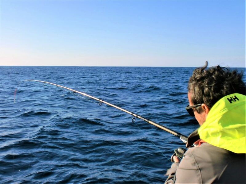 explore-sesimbra-sport-fishing-all-inclusive-half-day-trip