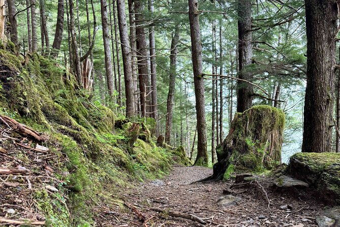 explore-tongass-national-forest-on-connell-lake-trail-hike