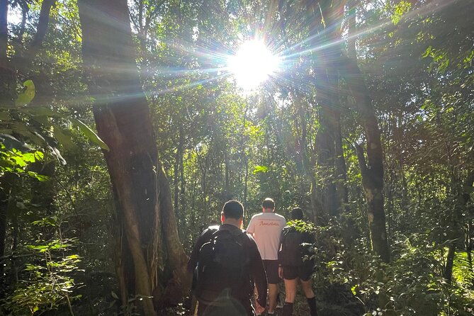 explore-trails-in-the-atlantic-forest-at-the-brazilian-falls