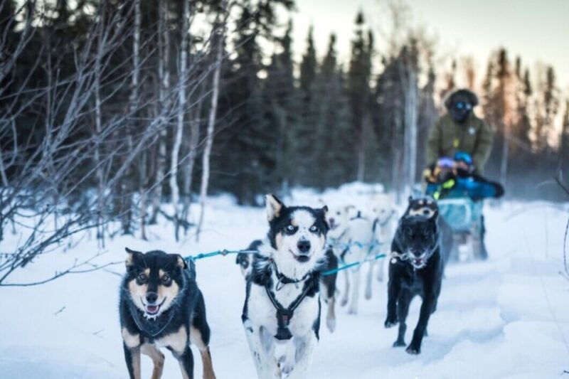 fairbanks-private-mush-on-the-historic-yukon-quest-trail