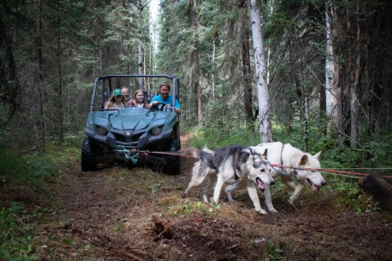 fairbanks-summer-mushing-cart-ride-and-kennel-tour