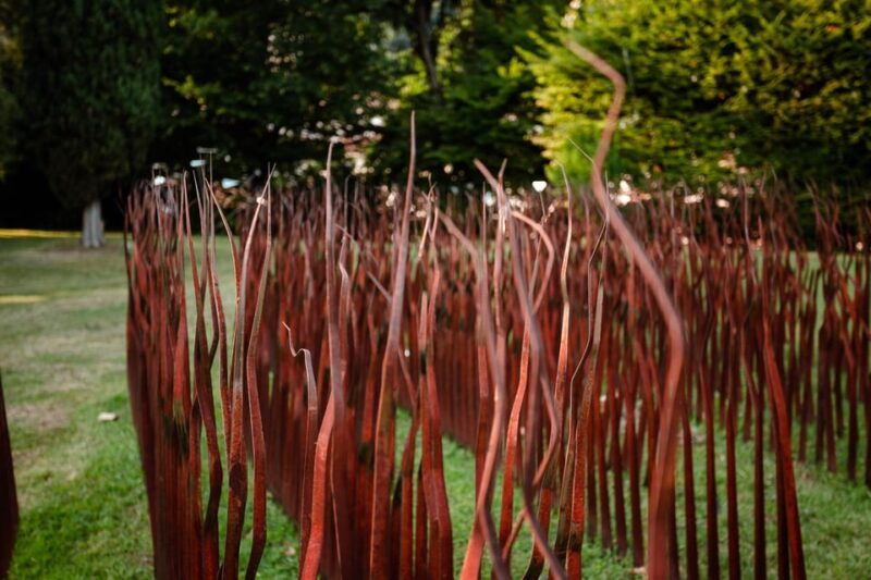 filandetta-park-wine-art-farm-founders-tour