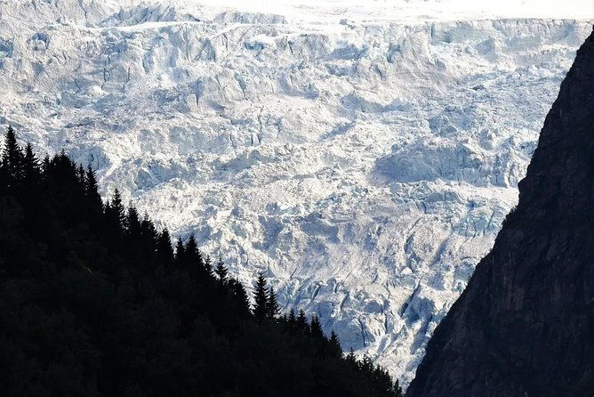 fjord-glacier-tour-from-voss
