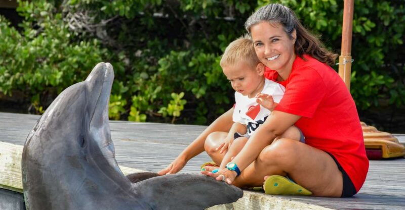 florida-keys-dockside-dolphin-experience