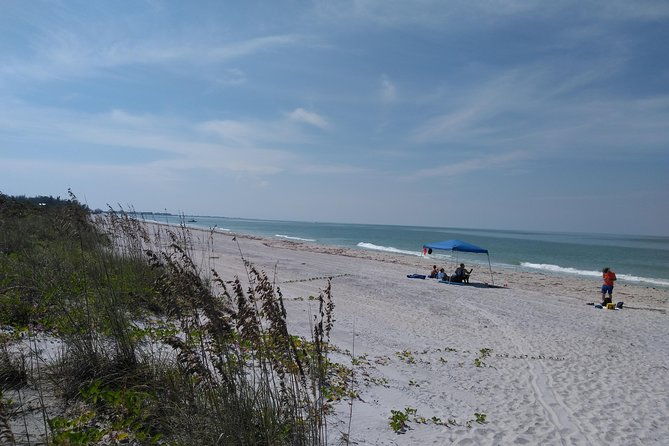four-hour-beach-day-cayo-costa-state-park