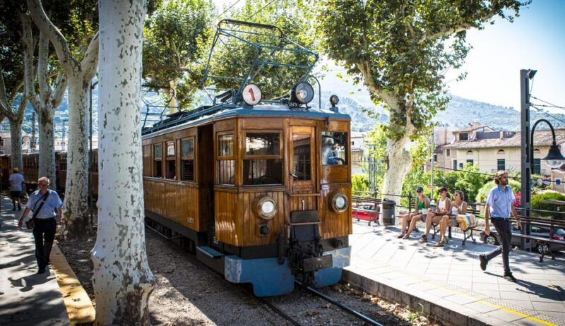 from-alcudia-soller-train-and-tram-half-day-tour