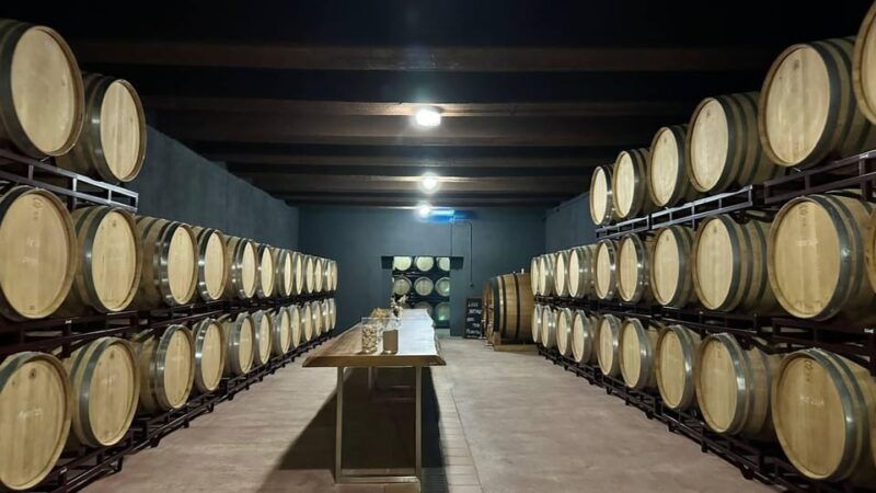 from-alicante-benidorm-winery-tour-and-wine-tasting