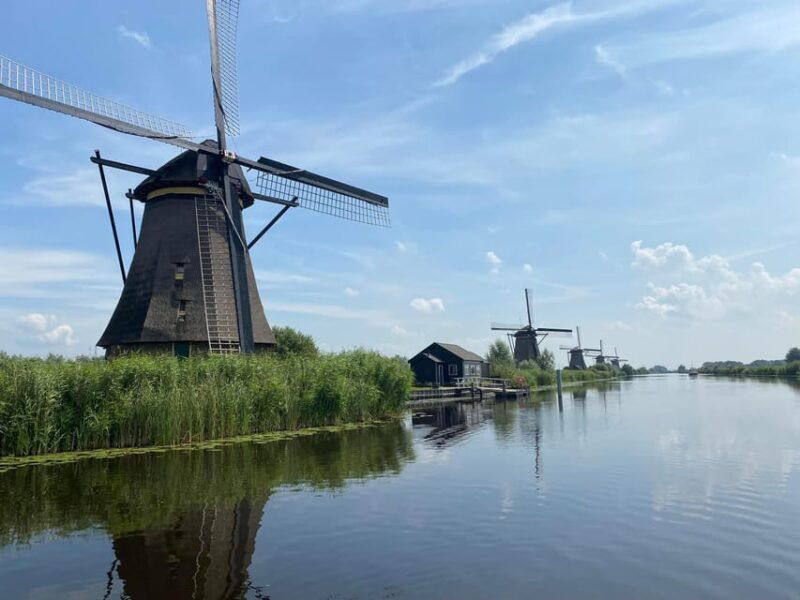 from-amsterdam-kinderdijk-delft-mauritshuis-private-tour