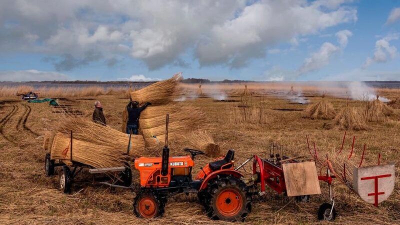 from-amsterdam-zaanse-schans-and-giethoorn-countryside-trip