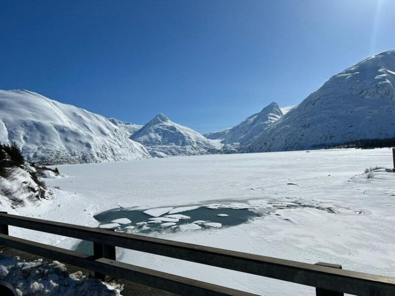 from-anchorage-alaska-wildlife-center-turnagain-arm-tour
