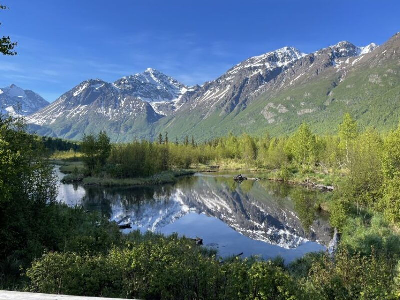 from-anchorage-valley-and-forest-hike-with-naturalist-guide