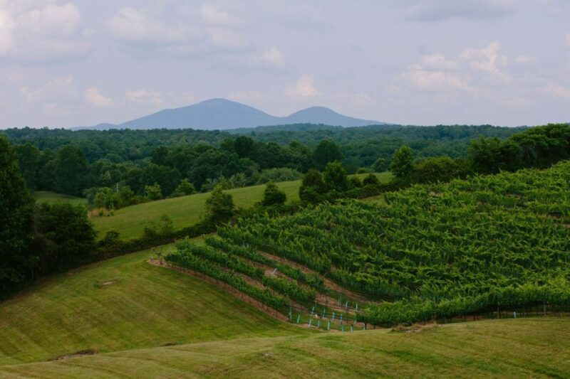 from-atlanta-half-day-wine-country-tour