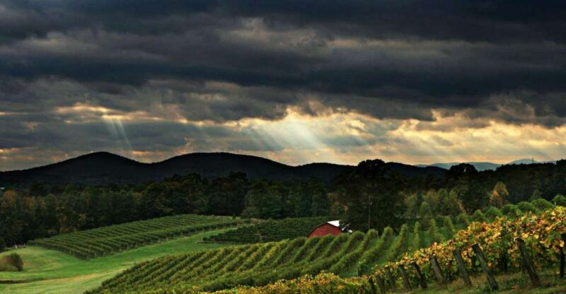 from-atlanta-north-georgia-wine-country-tour
