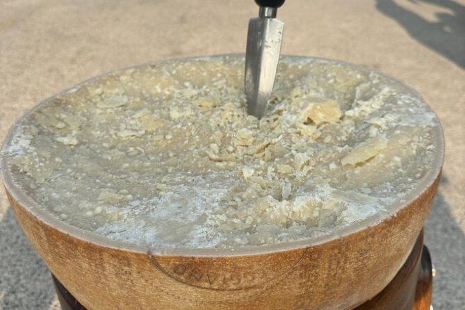 from-bologna-parmesan-cheese-balsamic-vinegar-tourlunch