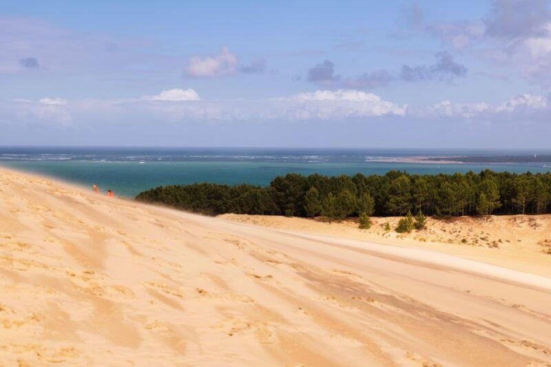 from-bordeaux-arcachon-bay-full-day-tour-and-oyster-lunch
