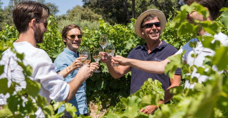 from-bordeaux-saint-emilion-day-trip-with-lunch-and-wine