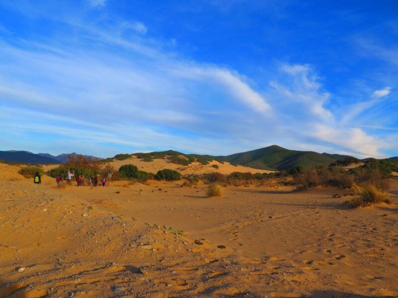 from-cagliari-piscinas-old-mines-and-montevecchio-tour