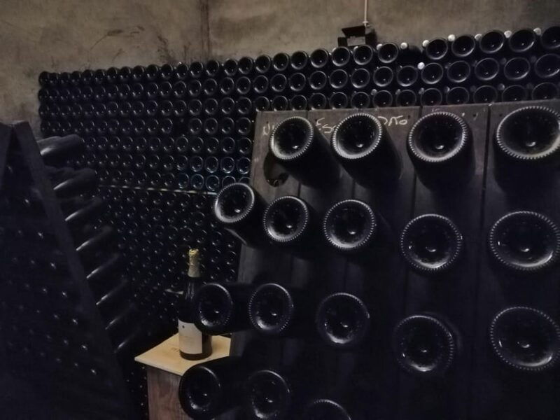 from-coimbra-dao-wine-route-experience
