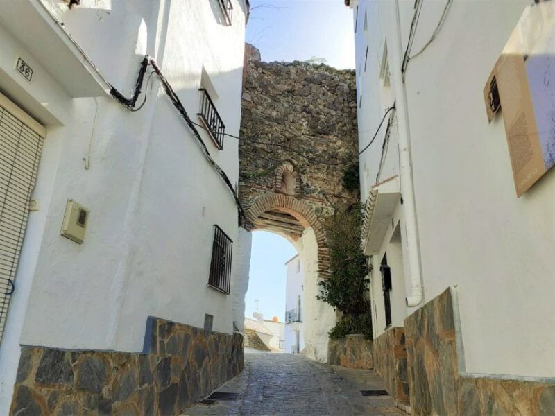 from-costa-del-sol-casares-private-tour