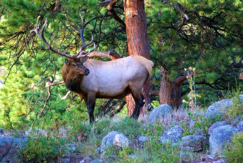 from-denver-guided-hike-in-rocky-mountain-national-park