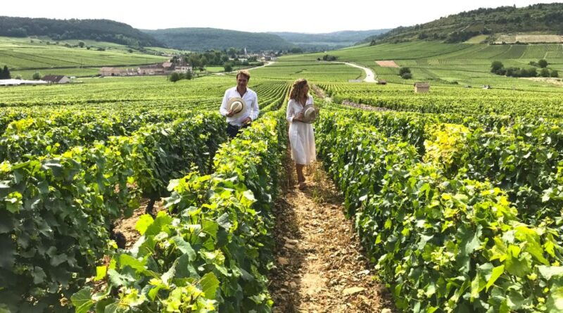 from-dijon-beaune-burgundy-region-winery-tour-with-lunch