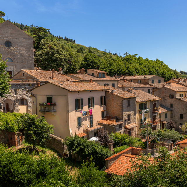 from-florence-montepulciano-montalcino-cortona-day-trip