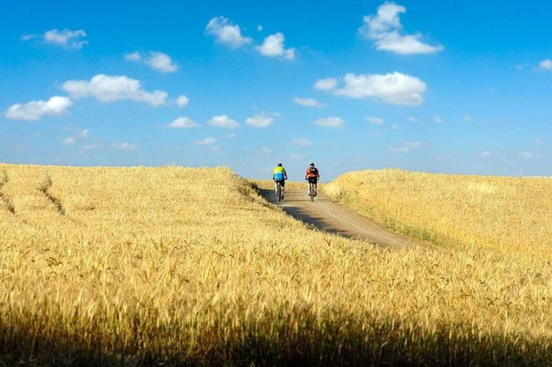 from-florence-tuscany-by-e-bike-with-lunch-and-wine-tasting