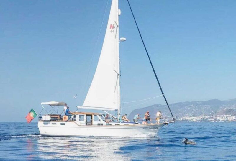 from-funchal-west-bays-sailing-tour-with-lunch
