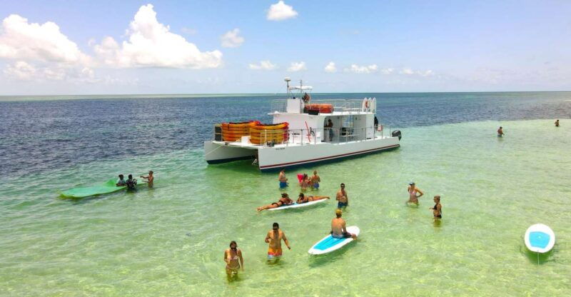 from-key-west-dolphin-watching-tour-with-lunch-drinks