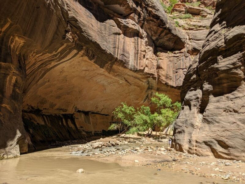 from-las-vegas-zion-national-park-small-group-adventure