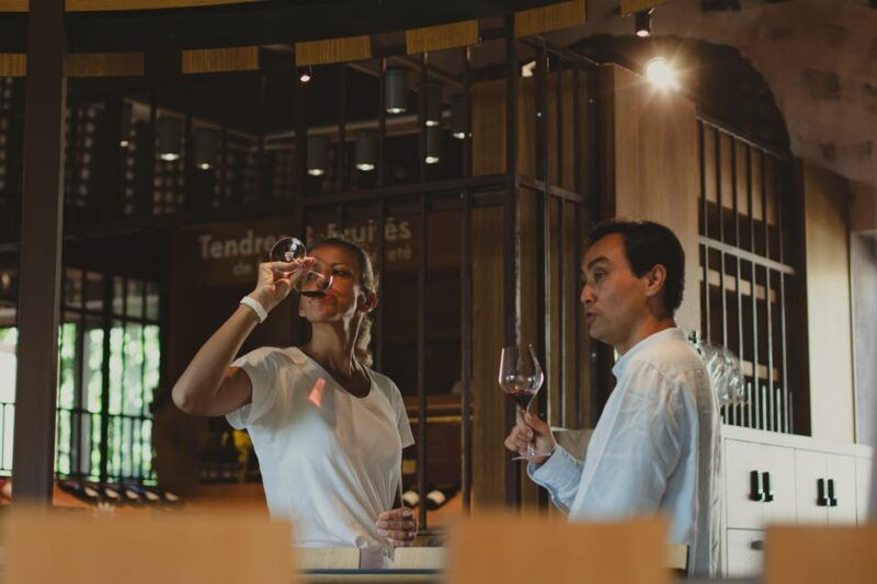 from-lyon-beaujolais-private-half-day-tour-by-defender
