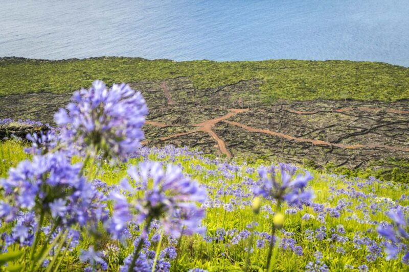 from-madalena-pico-volcanoes-and-lakes-guided-day-tour