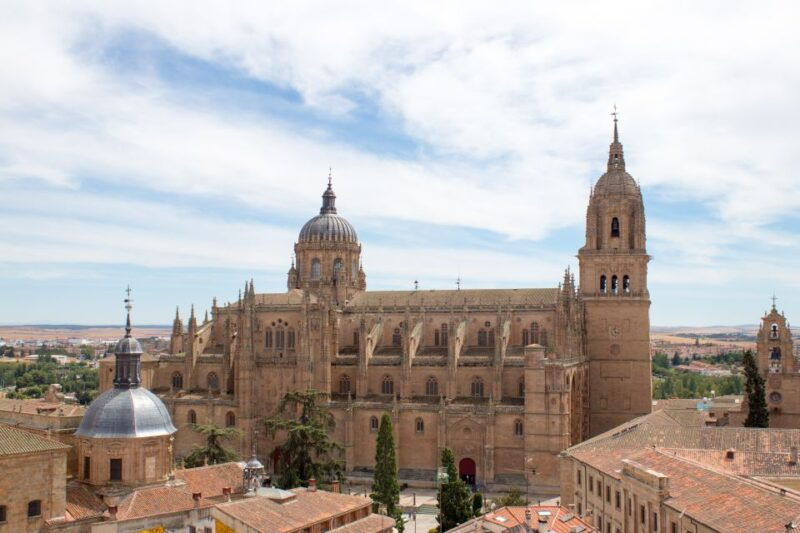 from-madrid-avila-and-salamanca-private-tour