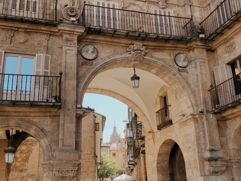 from-madrid-day-trip-to-salamanca-with-private-tour