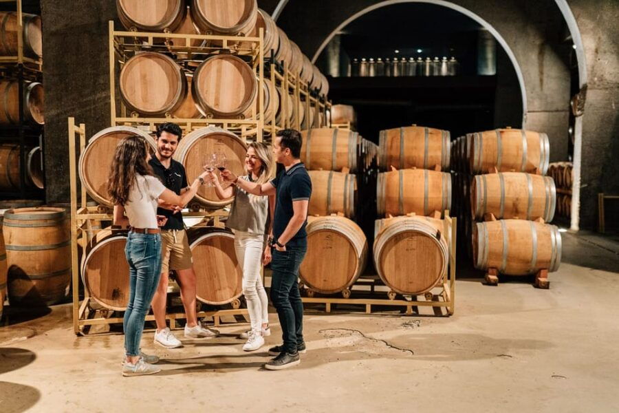 from-madrid-ribera-del-duero-winery-and-segovia-tour