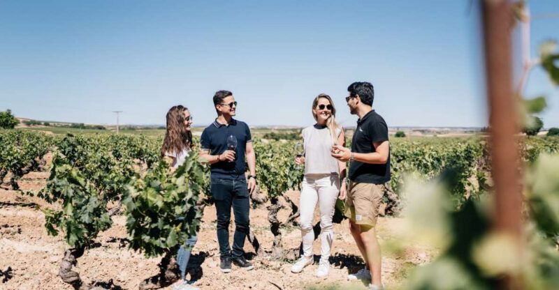 from-madrid-traditional-villages-winery-tour-tapas-lunch