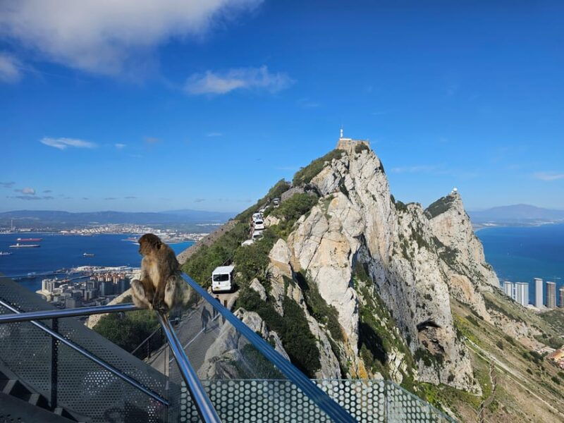 from-malaga-gibraltar-and-tangier-private-day-trip