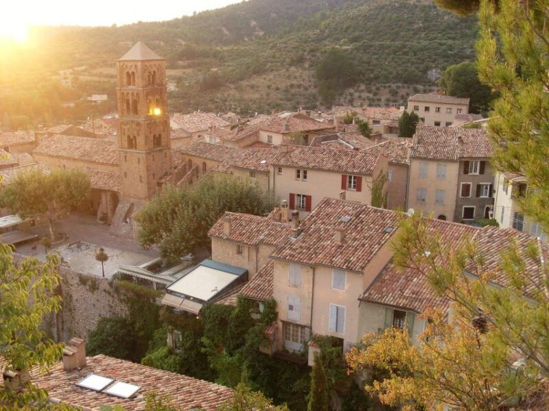 from-marseille-valensole-lavender-full-day-tour