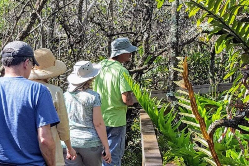 from-naples-10000-islands-boat-trip-everglades-walk
